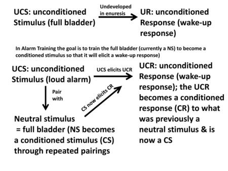 Stimulus (full bladder)