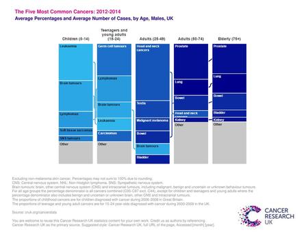 The Five Most Common Cancers: