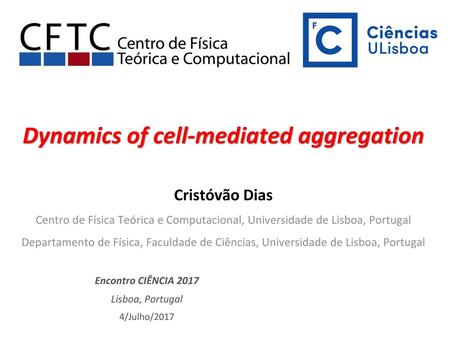 Dynamics of cell-mediated aggregation