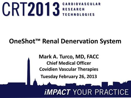 OneShot™ Renal Denervation System