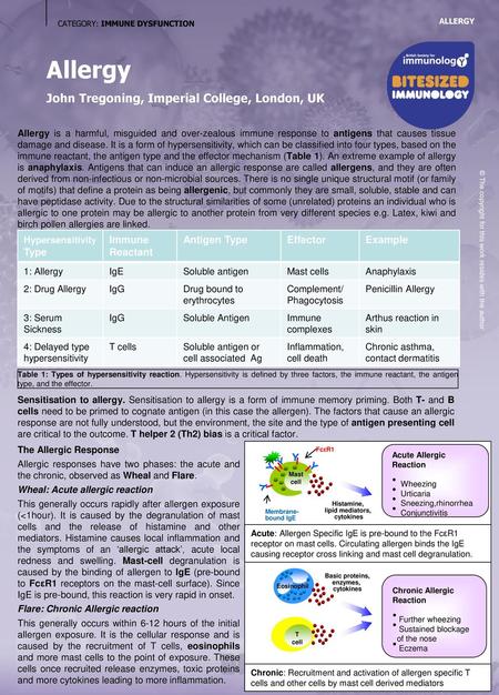 Histamine, lipid mediators, cytokines