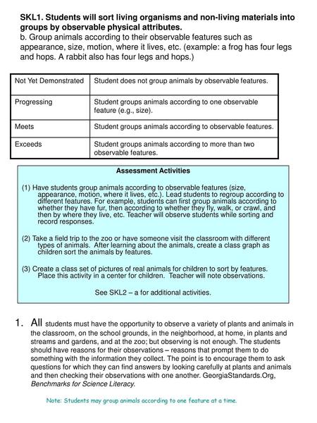 Assessment Activities