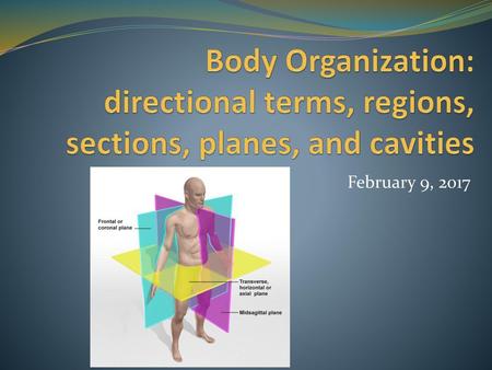 Body Organization: directional terms, regions, sections, planes, and cavities February 9, 2017.