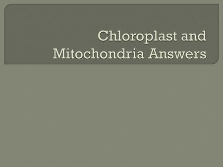 Chloroplast and Mitochondria Answers