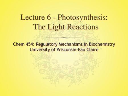 Lecture 6 - Photosynthesis: The Light Reactions