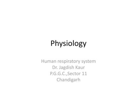 Human respiratory system