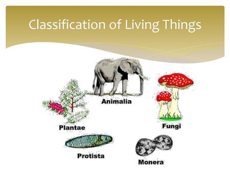 Classification of Living Things