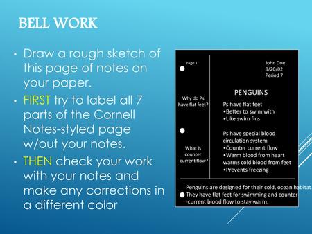 Bell Work Draw a rough sketch of this page of notes on your paper.