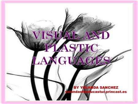 VISUAL AND PLASTIC LANGUAGES