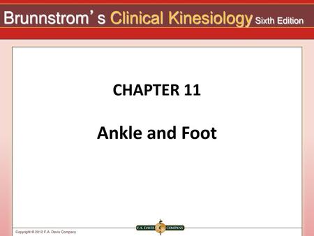 CHAPTER 11 Ankle and Foot.