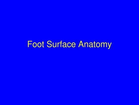 Foot Surface Anatomy.