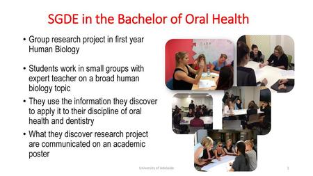 SGDE in the Bachelor of Oral Health