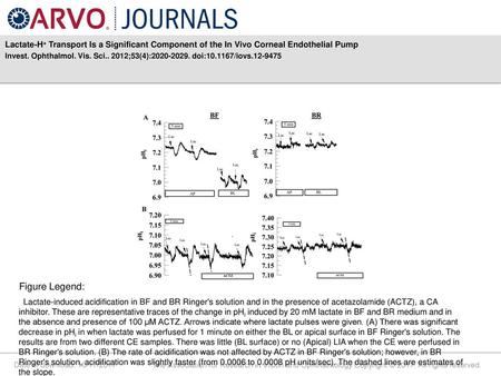 Invest. Ophthalmol. Vis. Sci ;53(4): doi: /iovs Figure Legend: