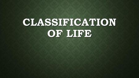 Classification of Life