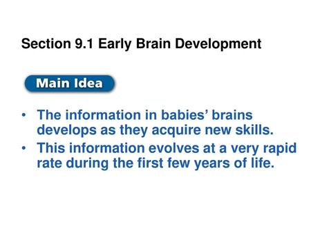 Section 9.1 Early Brain Development