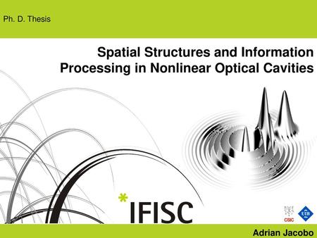 Ph. D. Thesis Spatial Structures and Information Processing in Nonlinear Optical Cavities Adrian Jacobo.