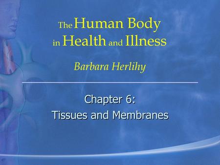 Chapter 6: Tissues and Membranes