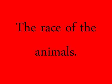 The race of the animals..