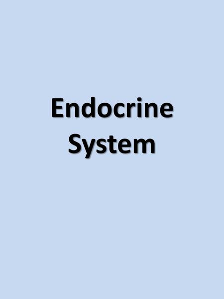 Endocrine System.