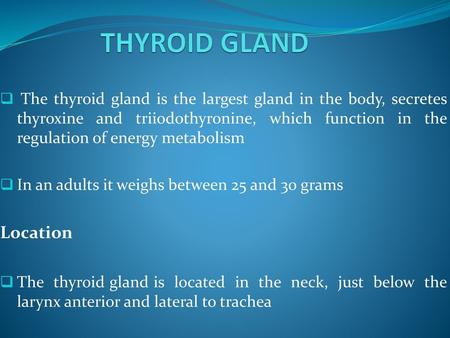 THYROID GLAND Location