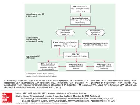 Pharmacologic treatment of generalized tonic-clonic status epilepticus (SE) in adults. CLZ, clonazepam; ECT, electroconvulsive therapy; LCM, lacosamide;