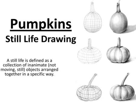 Pumpkins Still Life Drawing