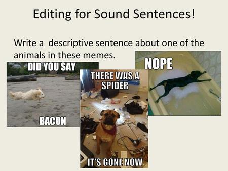 Editing for Sound Sentences!