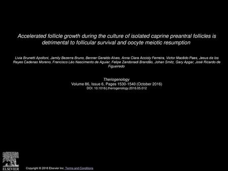 Accelerated follicle growth during the culture of isolated caprine preantral follicles is detrimental to follicular survival and oocyte meiotic resumption 