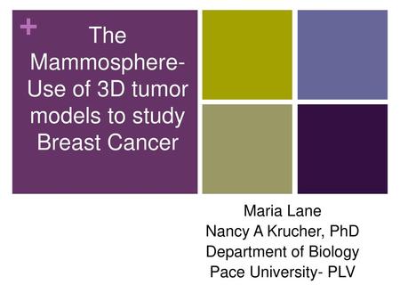 The Mammosphere- Use of 3D tumor models to study Breast Cancer