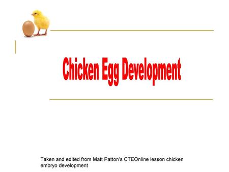 Chicken Egg Development