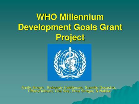 WHO Millennium Development Goals Grant Project