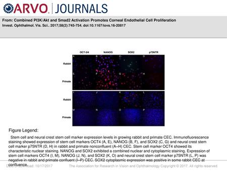 Invest. Ophthalmol. Vis. Sci ;58(2): doi: /iovs Figure Legend: