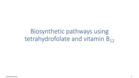 Biosynthetic pathways using tetrahydrofolate and vitamin B12