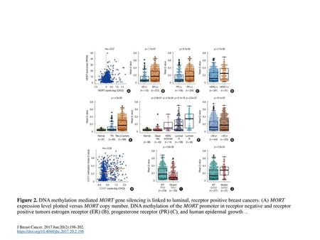 Figure 2. DNA methylation mediated MORT gene silencing is linked to luminal, receptor positive breast cancers. (A) MORT expression level plotted versus.