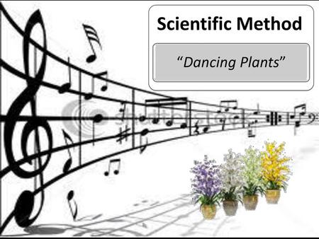 Scientific Method “Dancing Plants”.