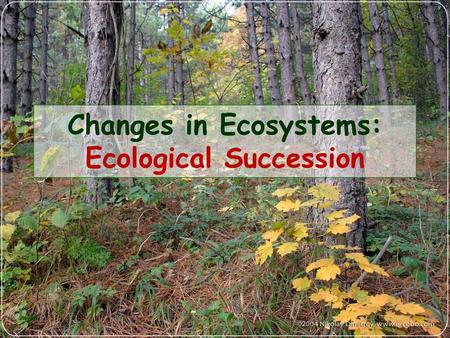 Changes in Ecosystems: Ecological Succession