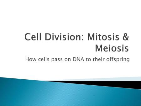 Cell Division: Mitosis & Meiosis