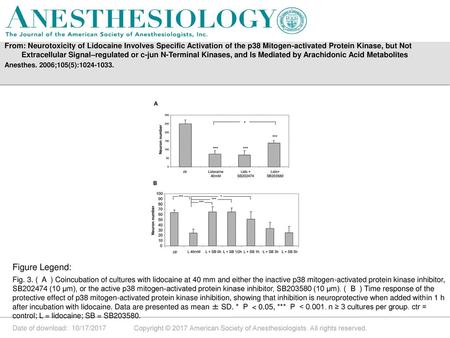 From: Neurotoxicity of Lidocaine Involves Specific Activation of the p38 Mitogen-activated Protein Kinase, but Not Extracellular Signal–regulated or c-jun.