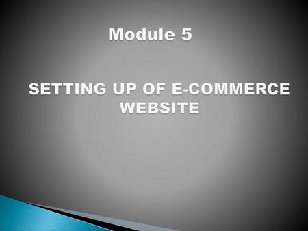 SETTING UP OF E-COMMERCE WEBSITE