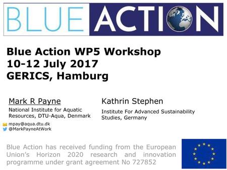 Blue Action WP5 Workshop July 2017 GERICS, Hamburg