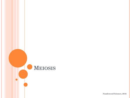 Meiosis Noadswood Science, 2016.