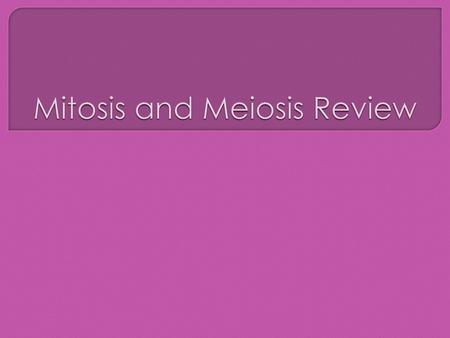 Mitosis and Meiosis Review