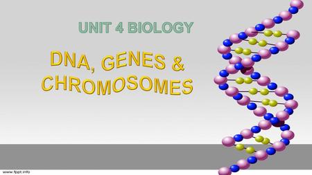 DNA, GENES & CHROMOSOMES