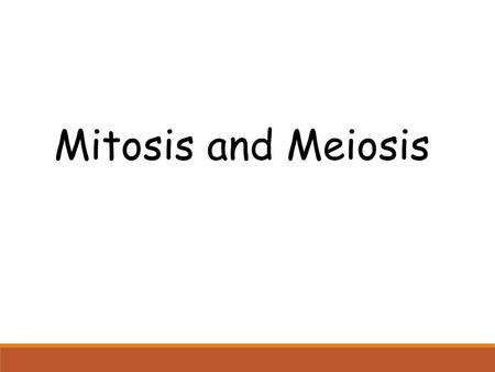 Mitosis and Meiosis.