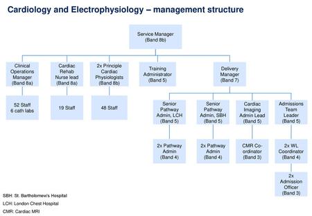 Cardiology and Electrophysiology – management structure