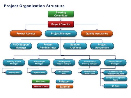 Project Organization Structure