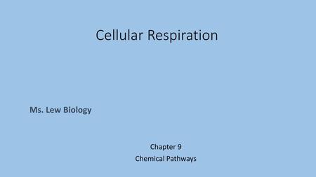 Chapter 9 Chemical Pathways