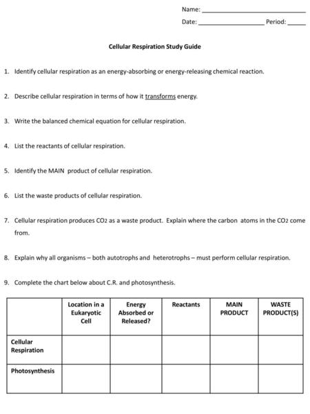 Location in a Eukaryotic Cell Energy Absorbed or Released?