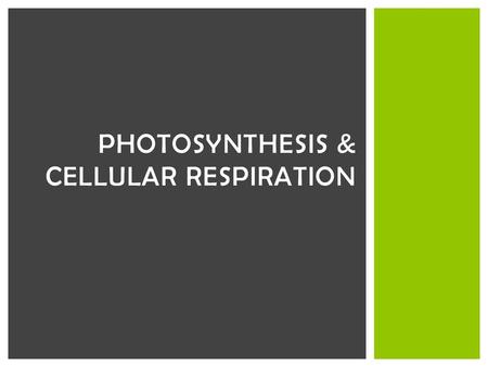 Photosynthesis & Cellular Respiration