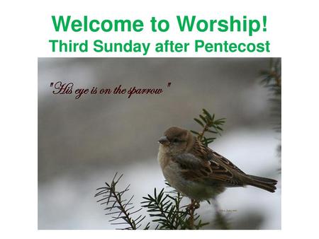 Third Sunday after Pentecost